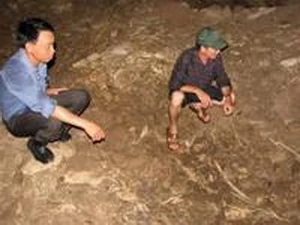 Des archéologues vietnamiens sur le site de Con Moong (Photo: thanhhoa.gov.vn).